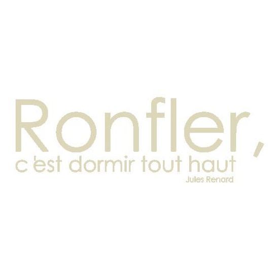 Stickers Citation Jules Renard Ref T Mk1066 Beige x57 Cm Cdiscount Maison