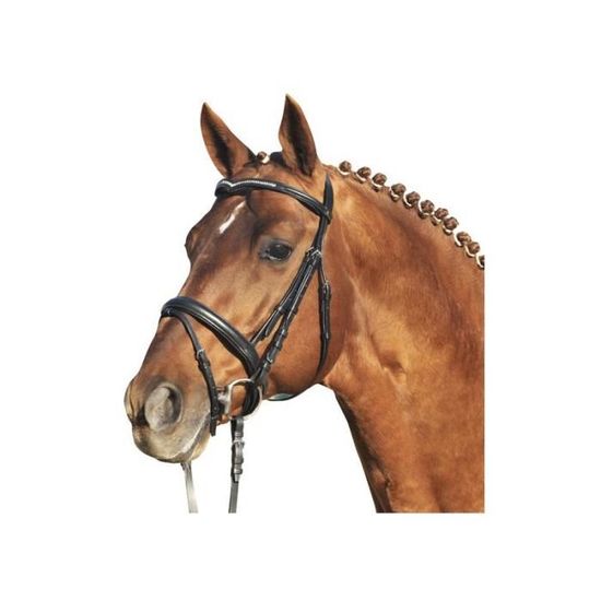 Support De Bride Noir Avec Fer à Cheval En Laiton – Pfiff – Neuf