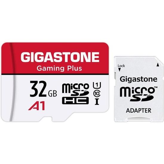 Lot De 10 Cartes Mémoire Gigastone 32 Go – Vitesse Lecture 90 Mo/s – Micro SDHC U1 C10 + 4 Étuis + 2 Adaptateurs SD – Idéal Drone, Caméra, Android