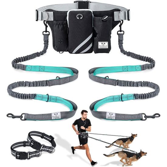 LAISSE - ACCOUPLE Laisse pour Chien Main Libre, Élastique Absorption