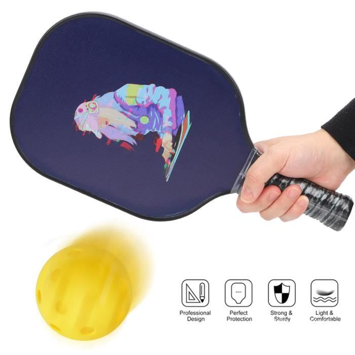 Fiber de verre Pickleball Paddle-ALI