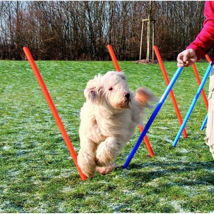 TRIXIE Dog Activity Slalom Agility jeu chien