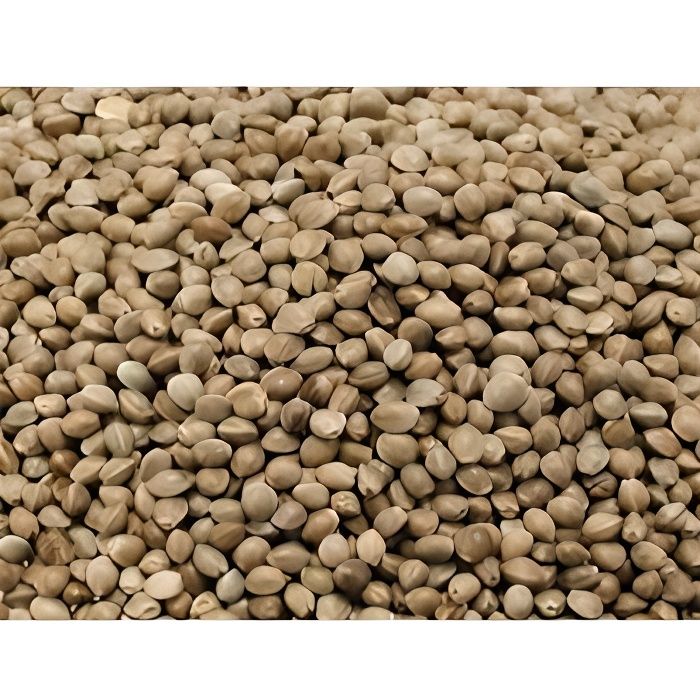Vadigran Chanvre (Poids: 800 Gr