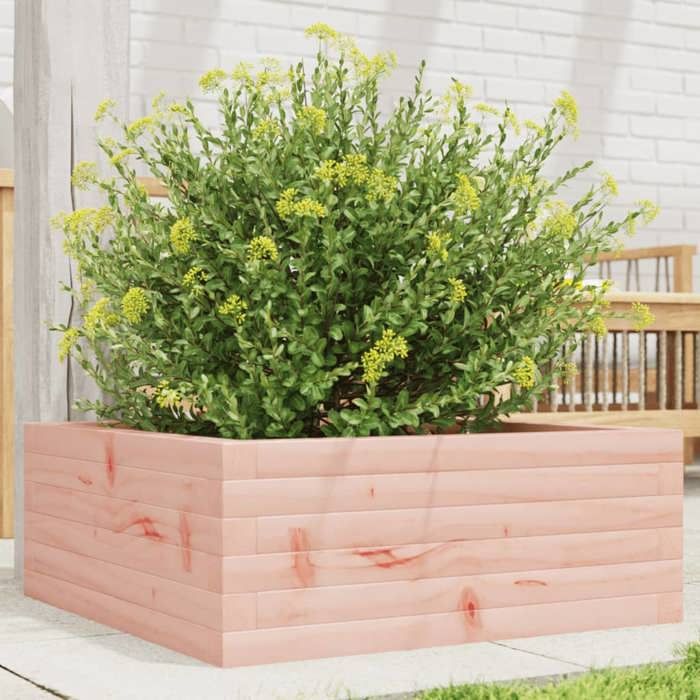vidaXL 60x60x23 cm Douglas
