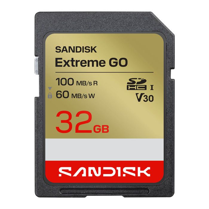 SanDisk Extreme GO SDHC UHS I - vue 2