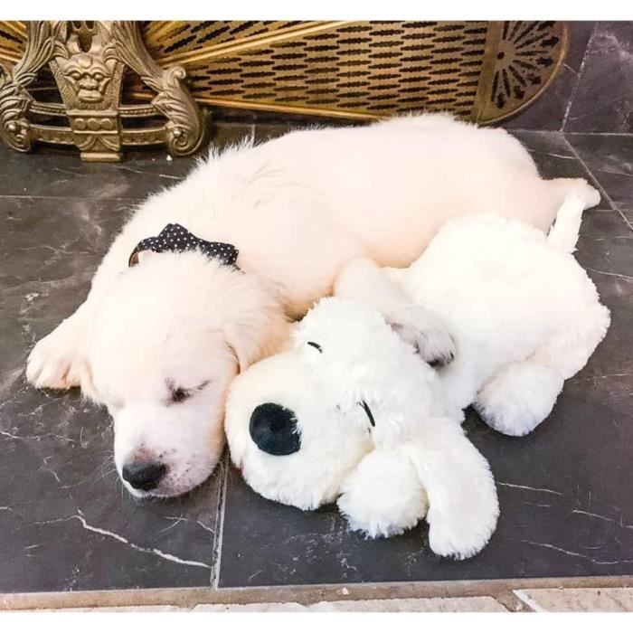 Chien interactif clearance snuggle puppy