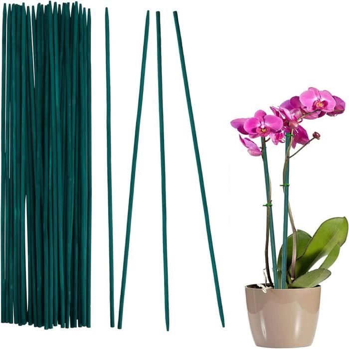 Tuteur pour plantes - Bâtons de sphaigne - Soutient les plantes d Tuteur pour plantes - Bâtons de sphaigne - Soutient les plantes d