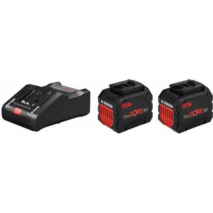 Pack de 2 batteries 18V Procore 12Ah + chargeur rapide - BOSCH - 1600A016GY