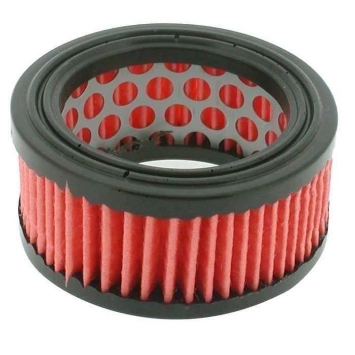 Greenstar 5533 Filtre à air adaptable Echo pour CS370/CS400/CS5000 31 mm