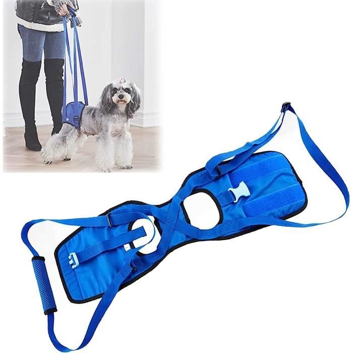 MOVKZACV Harnais pour pattes arrières de chien Support de hanche pour soulever l