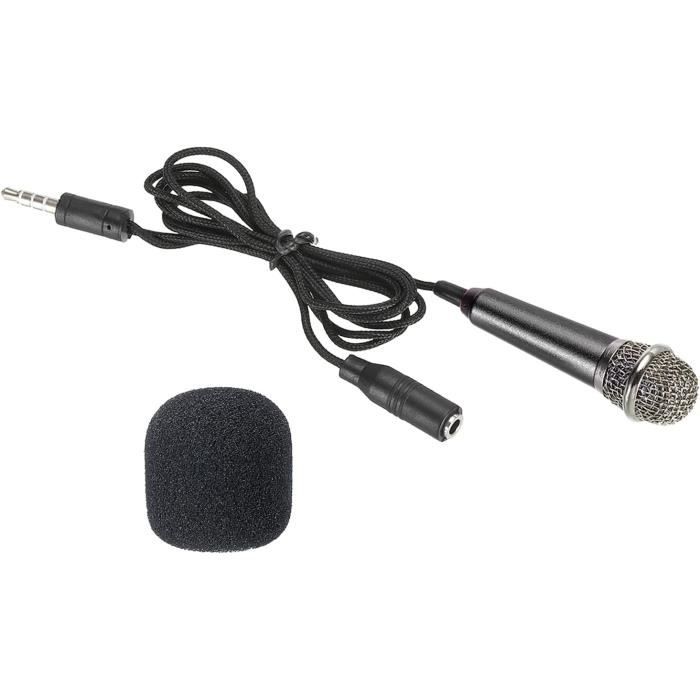 Mini Microphone Portable Vocal Microphone Noir Pour Voice