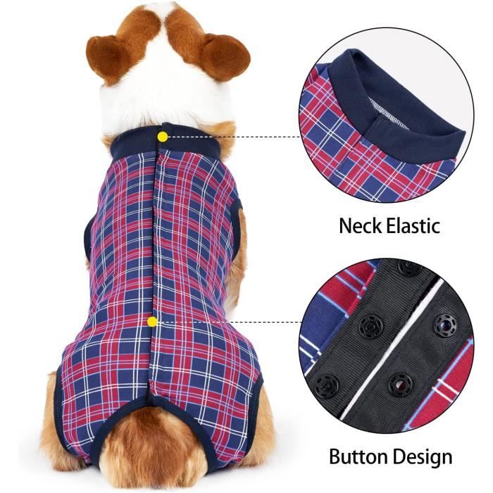 Combinaison De Récupération Pour Chat Post-Opératoire - Taille L Vert - Tissu Respirant Doux - Protection Des Plaies Abdominales - Alternative Au Collier Élisabéthain - Fermeture Velcro