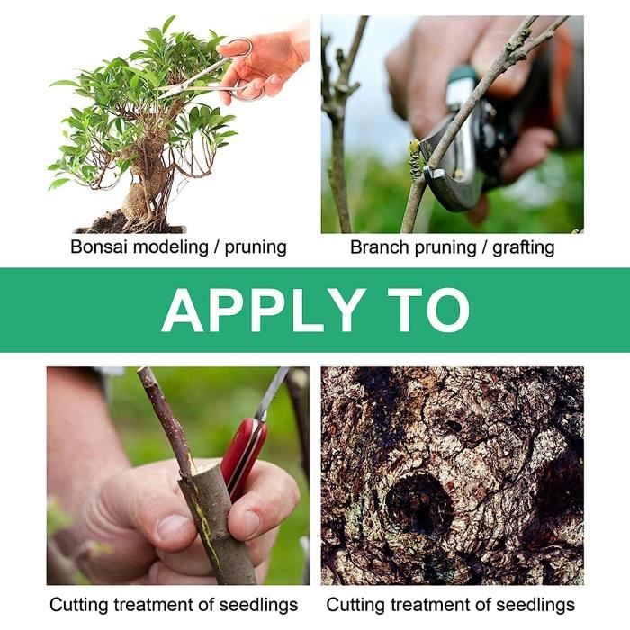 Scellant De La Plaie D'arbre Réparation D'arborescence Professionnel 500g