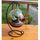 Vase rond transparent