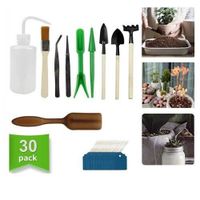 30x Mini outils manuels de jardinage Transplantation de plantes succulentes Râteau de jardinage
