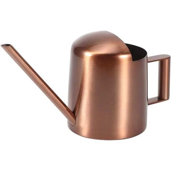 Mini Arrosoir 300ml Avec Long Bec En Acier Inoxydable - Arrosoir Pour Plantes D'Intérieur Et Balcon Avec Poignée Confortable
