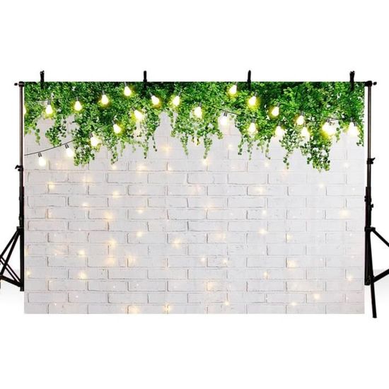 Printemps Vintage Mur de Briques Fleur de Rue Lumière Toile de fond M1-20