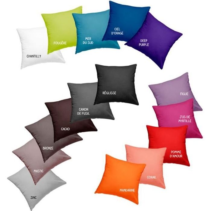 Coussin garni déhoussable - 40 x 40 cm - Today - Différents coloris Réglisse