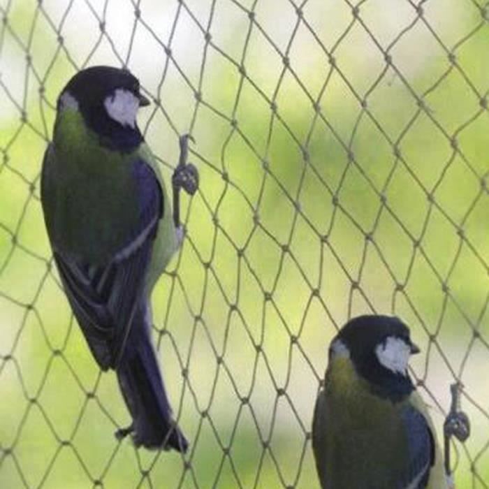 Filet Anti-oiseaux Cultures Etang Protection Fruits Légumes Maille Antiparasitaire 5X10M L22896