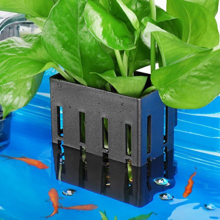 Meilleurs prix pour Support pour Plantes Aquatiques Noir avec Accessoires - Idéal pour Votre Aquarium