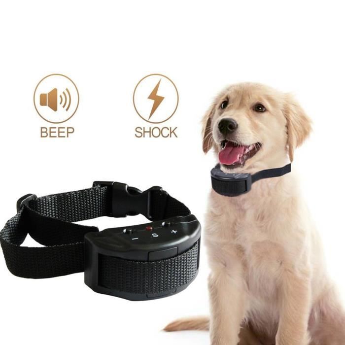 Collier Anti-aboiement Chien – Spray Citronnelle, 3 Niveaux Réglables, étanche IP67, Rechargeable
