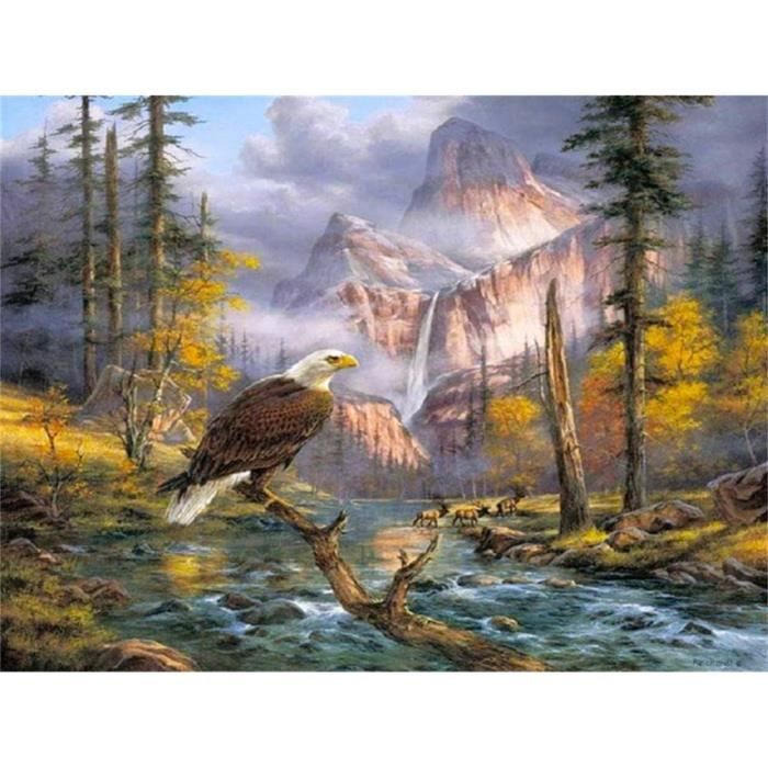 Tableau Diamant 5D Complet à Faire Soi-Même – Cascade Et Aigle – Kit De Loisir Créatif