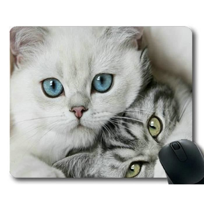 Tapis Humour Achat Vente Pas Cher Tapis Humour Achat Vente Pas Cher