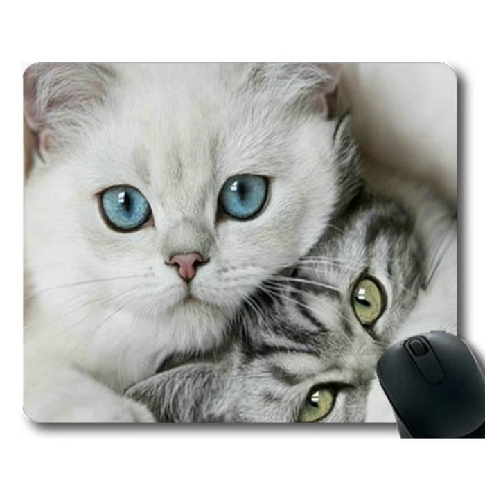 Tapis De Souris Tapis De Souris Pour Chat Humour Tapis De Souris Pour Ordinateur Cat360 Prix Pas Cher Cdiscount