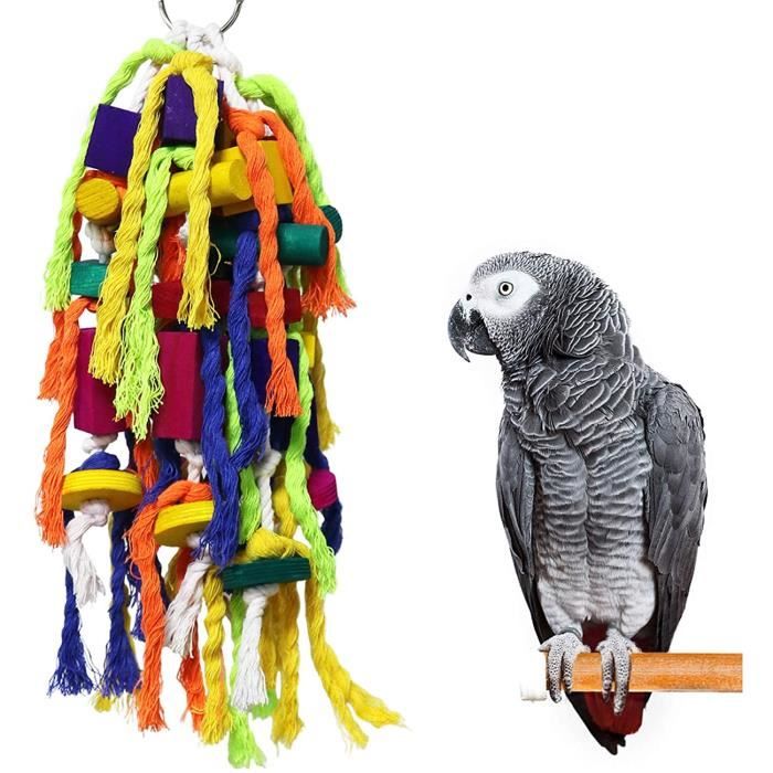 Jouets à mâcher en acier inoxydable Bell Bird Jouet pour perroquet, ara,  gris africains, petit cacatoès, perruche, cockatiels robustes Cage Cage  Stand