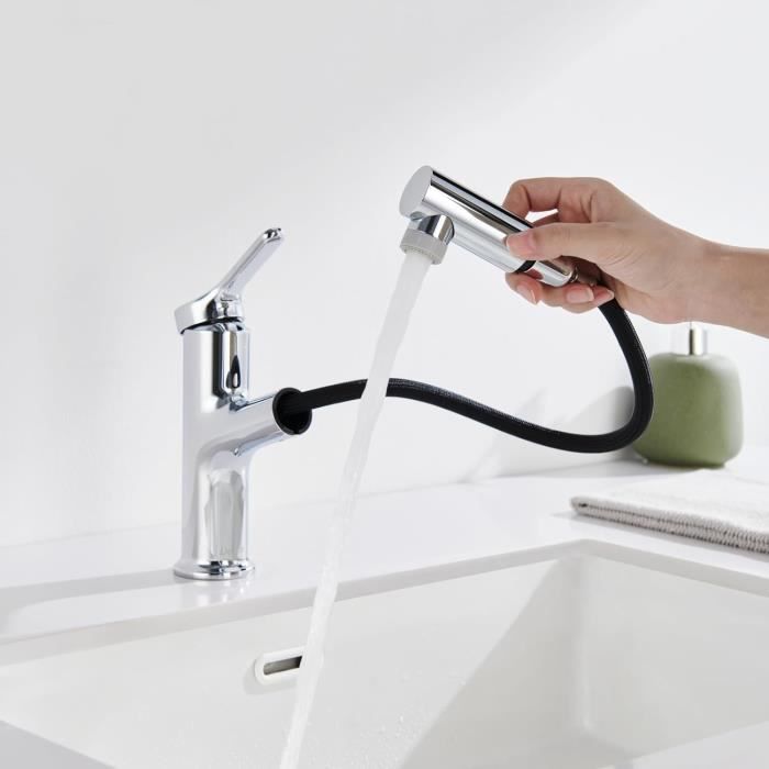 Robinet De Lavabo Design Avec Douchette Extensible - Mitigeur Moderne Gris - Rozin