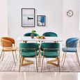 1 × Chaise de Salle à Manger, Tissu de Loisirs avec Style scandinave Solide de Jambe de Fer à Peindre pour Le Salon de Cuisine à 344-2