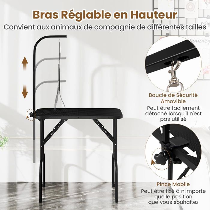 Station de toilettage avec pulseur 7en1 V2 pour chien et chat