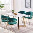 1 × Chaise de Salle à Manger, Tissu de Loisirs avec Style scandinave Solide de Jambe de Fer à Peindre pour Le Salon de Cuisine à 344-3