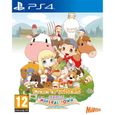 Story of Seasons Friends of Mineral Town Jeu PS4-0