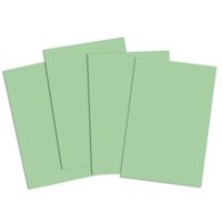 House of Card - Paper House of Card - Paper Lot de 50 feuilles de papier 160 g/m² Vert pastel Format A3 -