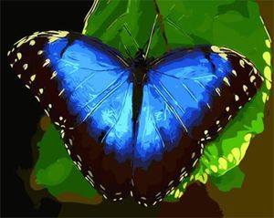 KIT MOSAÏQUE Peinture Numero Plantes vertes Papillon Animal, Peinture par Numero 40x50 cm Peinture Numéro Bricolage.[Z3089]