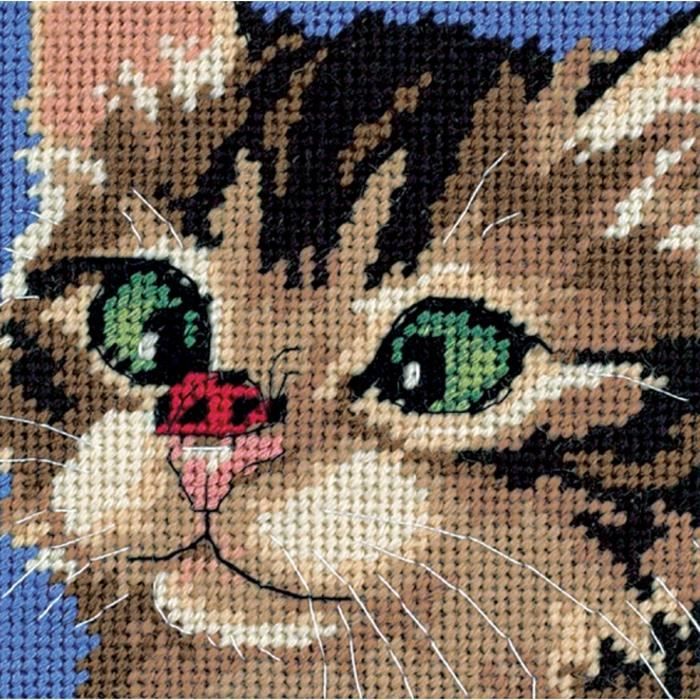 Dimensions Kit Canevas Chaton Qui Louche Cdiscount Beaux Arts Et Loisirs Creatifs Dimensions Kit Canevas Chaton Qui Louche Cdiscount Beaux Arts Et Loisirs Creatifs