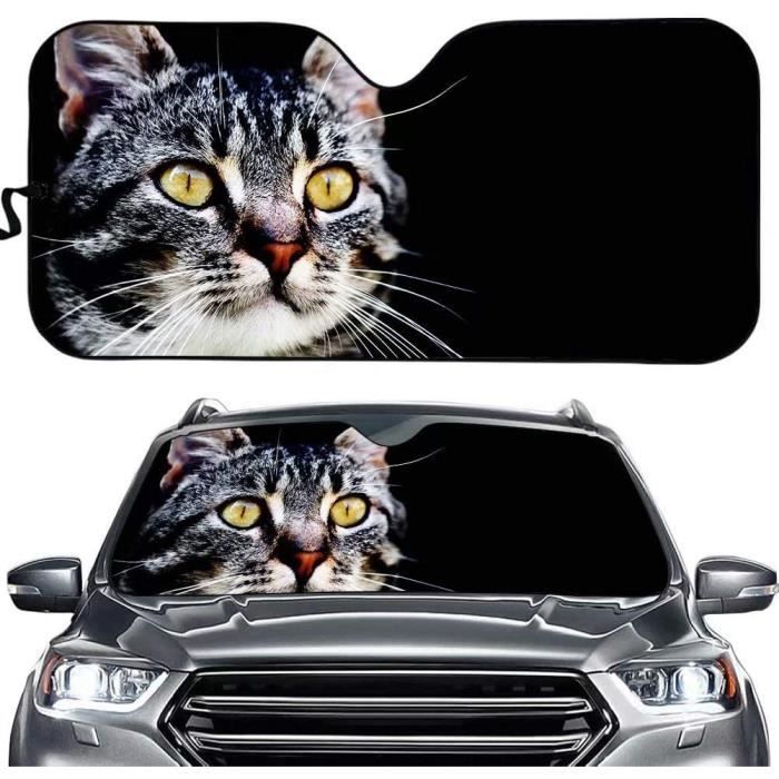 Pare-soleil portable universel anti-éblouissement durable pour jour et nuit pour pare-brise de voiture - Chine Rallonge de pare-soleil de voiture avant, pare -soleil de voiture pour voitures