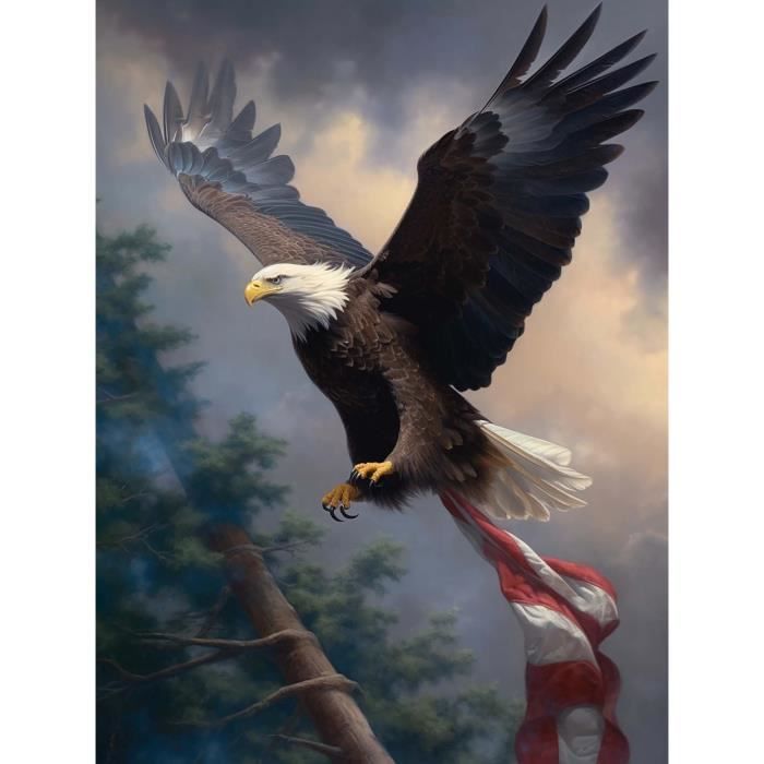 Bimkole 5D Diamond Painting DIY Kits Aigle, Animal Peinture D'art Diamant Kits Résine Peinture