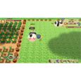 Story of Seasons Friends of Mineral Town Jeu PS4-1