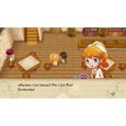 Story of Seasons Friends of Mineral Town Jeu PS4-3
