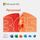 Microsoft office pour mac