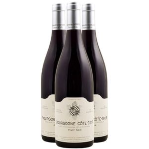VIN ROUGE Domaine Bzikot Bourgogne Côte-d'Or 2022 - Vin Roug