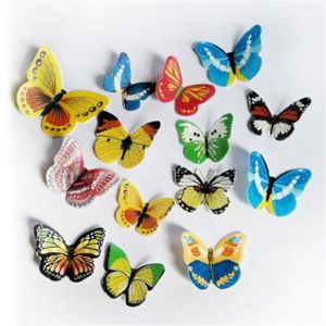 Papillons en papier d'azyme