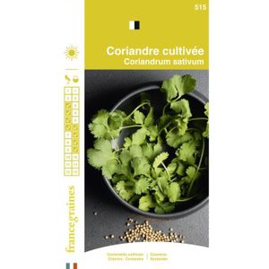 GRAINE - SEMENCE France Graines - Coriandre Cultivée