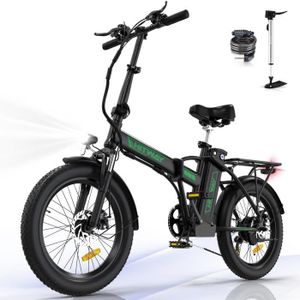 Pompe à vélo électrique Rotis - Scooter/Moto/Voiture/Vélo