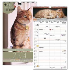 Grand calendrier mural 29x29 cm - 2024 - Chats