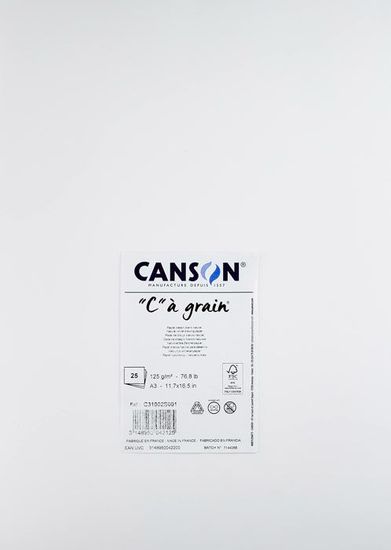 Canson C à Grain - Bloc A3 20 Feuilles 224g/m², Grain Fin, Dessin Crayon Encre, Sans Acide !