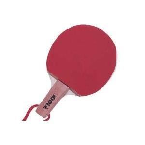 Raquette Joola Mini
