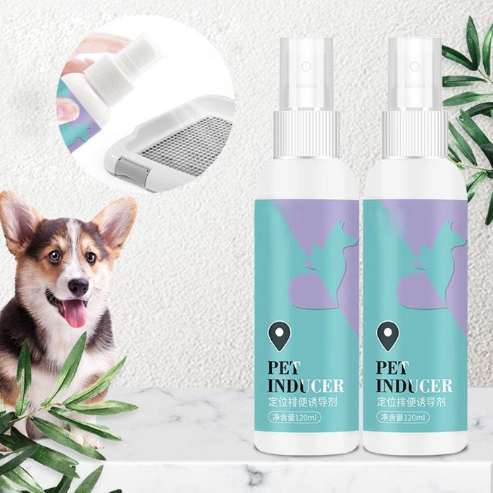 OMABETA Spray dapprentissage de la propreté pour chien Spray dentraînement à la propreté pour animaux de sport harnais